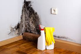 Frenchtown, NJ Mold Removal & Remediation Company